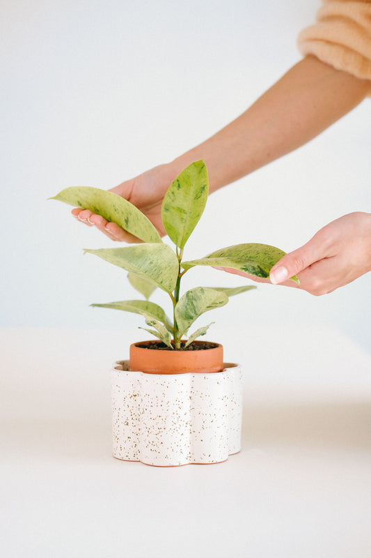 Paula self-watering pot - White Speckled | Pepin.