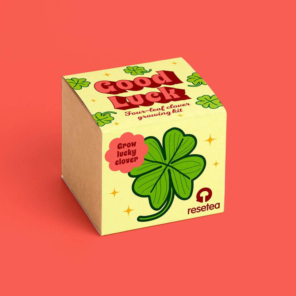 Good luck – Four-leaf clover growing kit | Resetea