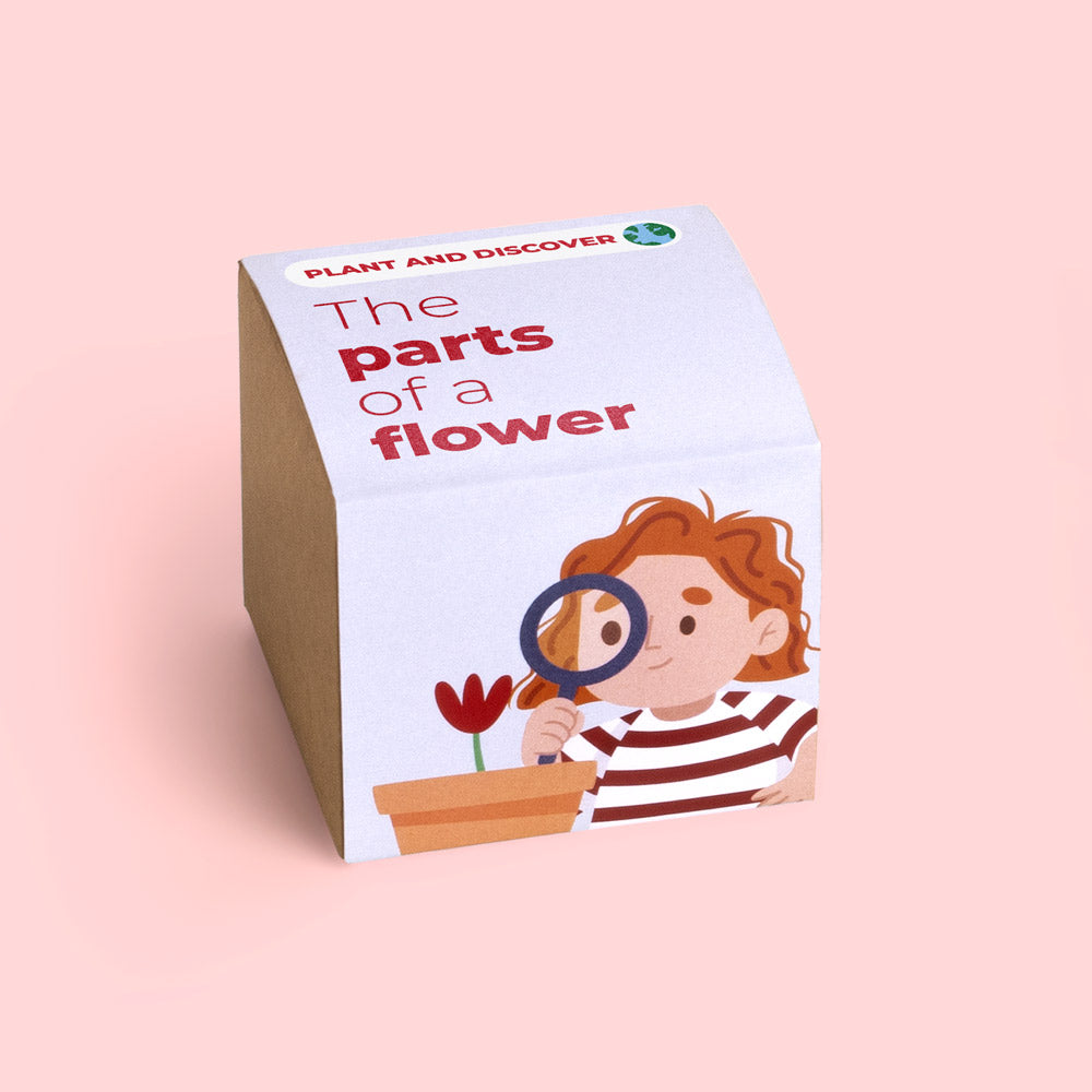 Plant and discover: The parts of a flower - Growing kit | Resetea