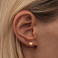 Family love earrings brushed - gold plated - 1 paar | LULU Copenhagen - de inKijk