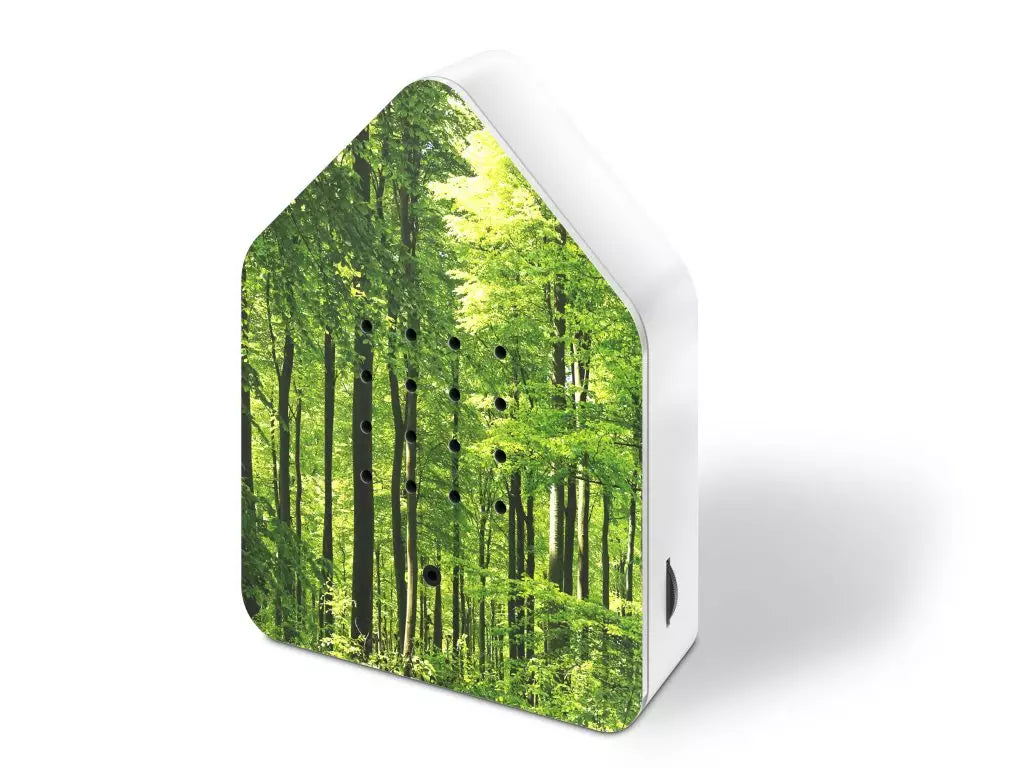 Zwitscherbox - forest | Relaxound