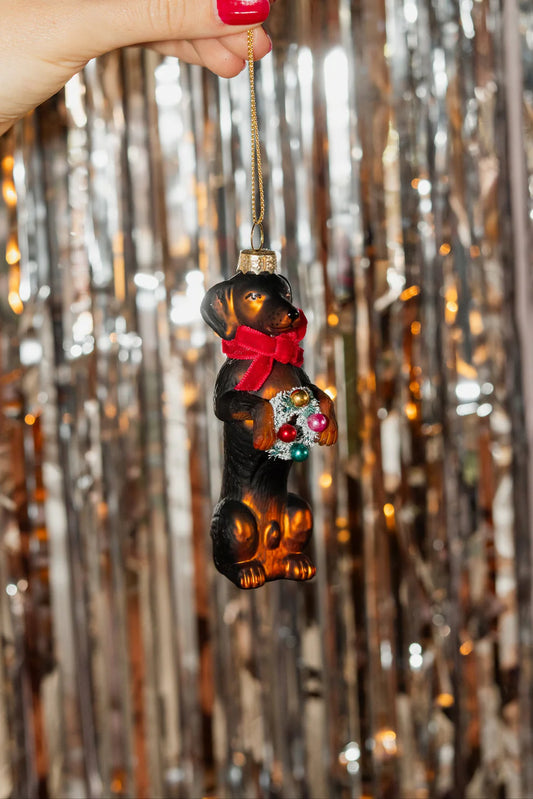 Kersthondje | Yup in de boom