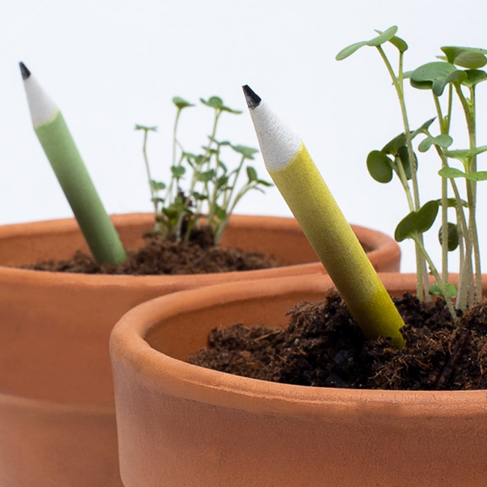 Set of 5 plantable pencils | Resetea