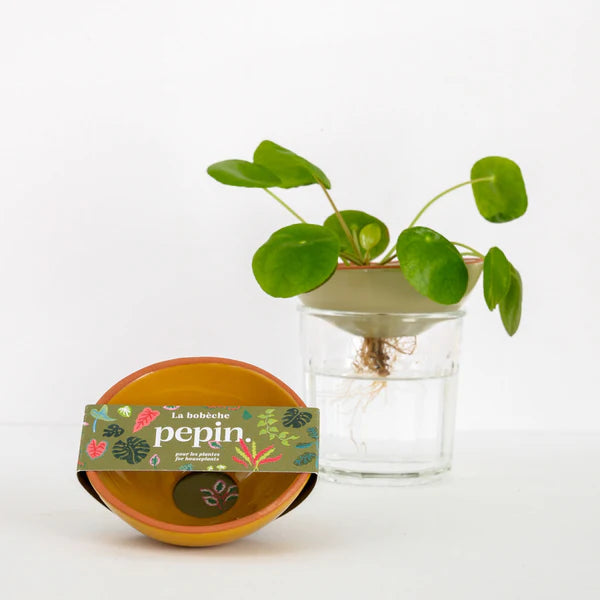 Planten - bobèche - mosterdgeel | Pepin