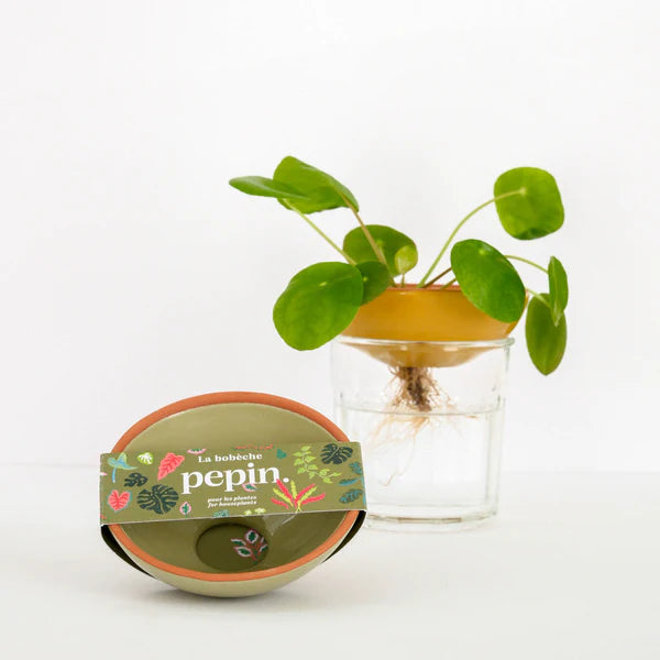 Planten - bobèche - saliegroen | Pepin