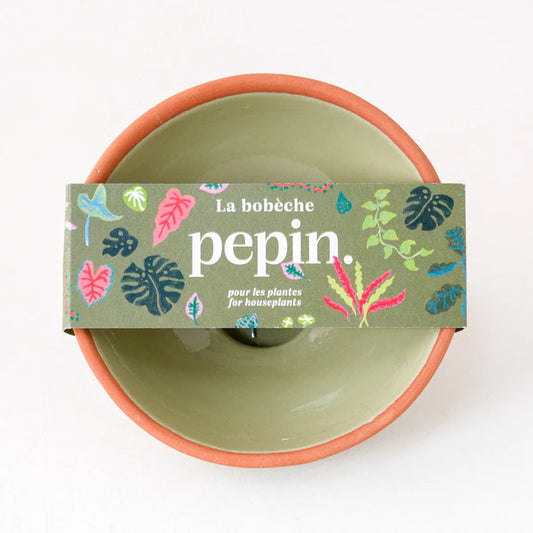 Planten - bobèche - saliegroen | Pepin