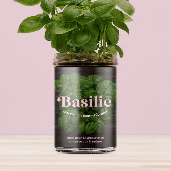 Basilicum Kitchen-Garden Kit | Resetea