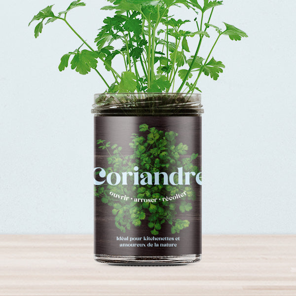Koriander Kitchen-Garden Kit | Resetea - de inKijk