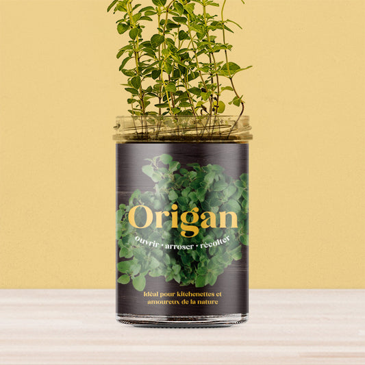 Oregano Kitchen-Garden Kit | Resetea