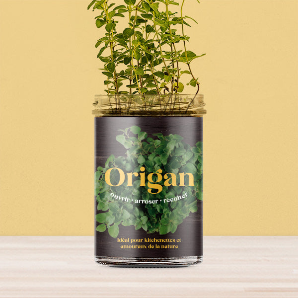 Oregano Kitchen-Garden Kit | Resetea - de inKijk