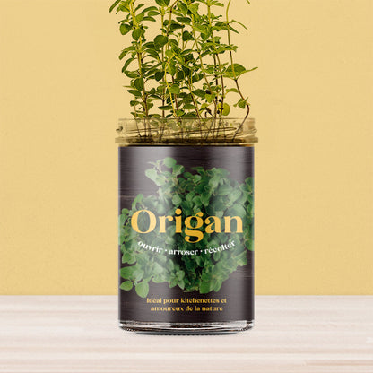 Oregano Kitchen-Garden Kit | Resetea - de inKijk