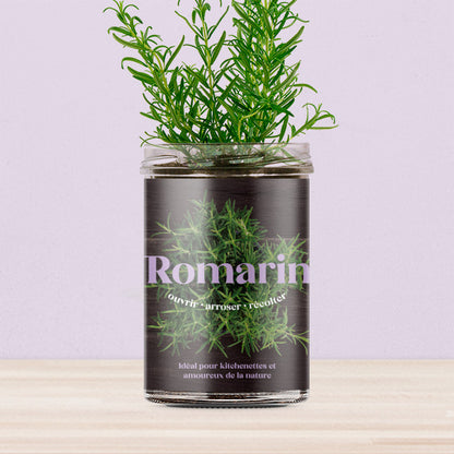 Rozemarijn Kitchen-Garden Kit | Resetea - de inKijk
