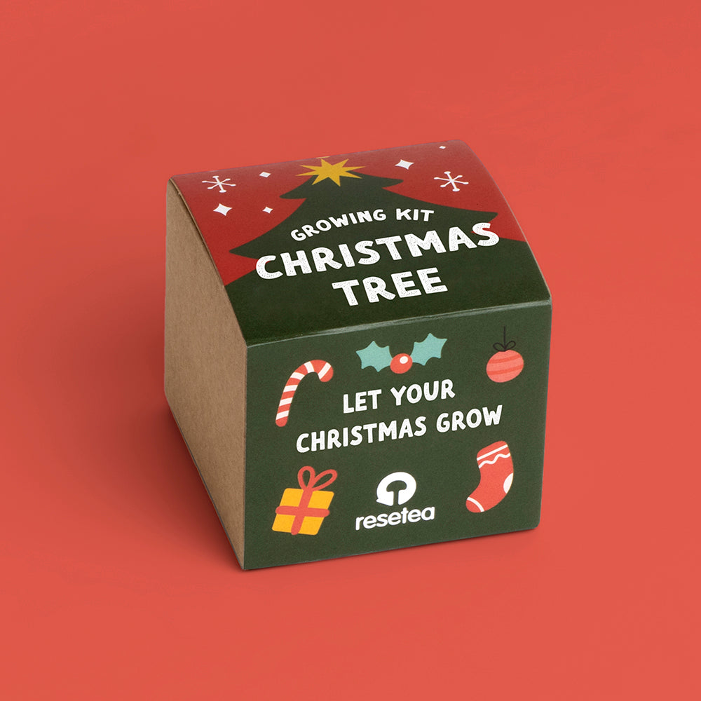 Christmas Tree Growing Kit | Resetea