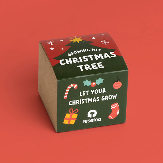Christmas Tree Growing Kit | Resetea