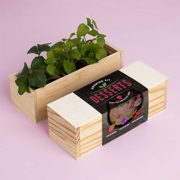 Desserts Growing Kit - aardbei, braambes, aalbes | Resetea - de inKijk