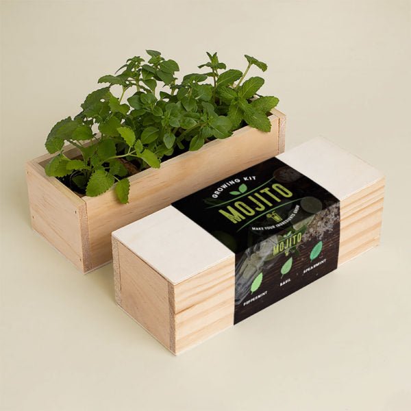 Mojito Growing Kit - pepermunt, basilicum, groene munt | Resetea