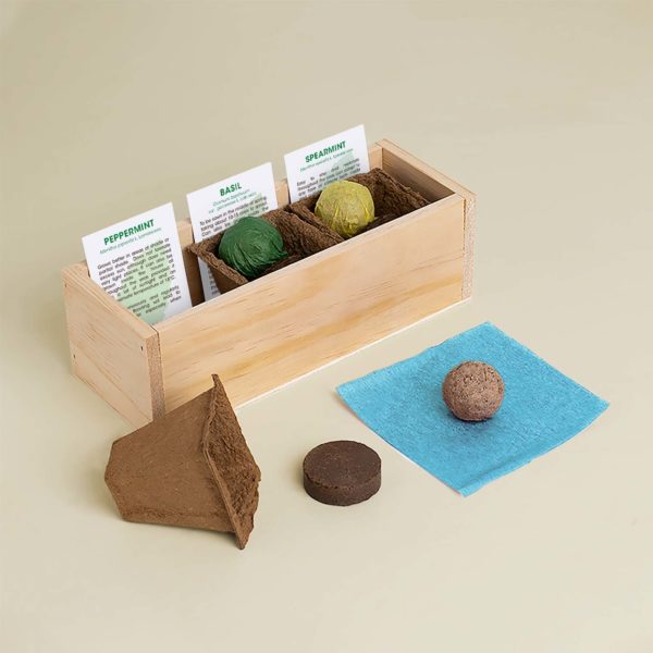 Mojito Growing Kit - pepermunt, basilicum, groene munt | Resetea - de inKijk