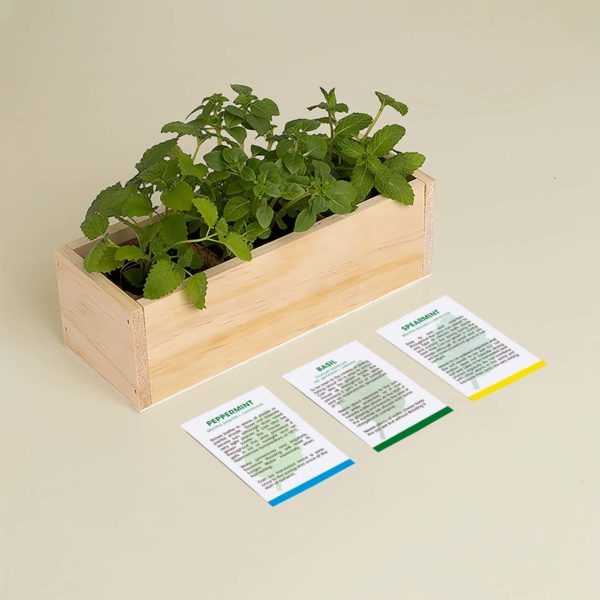 Mojito Growing Kit - pepermunt, basilicum, groene munt | Resetea - de inKijk