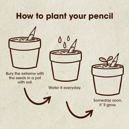 Set of 5 plantable pencils | Resetea