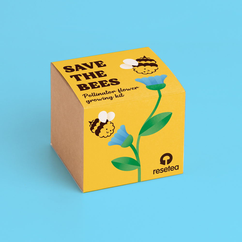 Save the bees – Pollinator flower growing kit | Resetea
