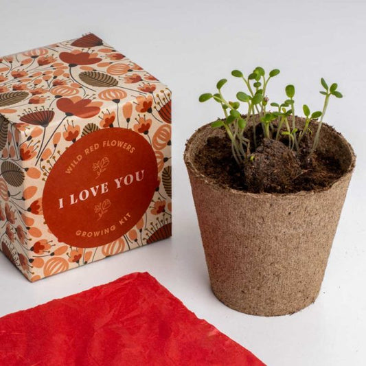 Say it with Flowers Growing Kit - I love you | Resetea
