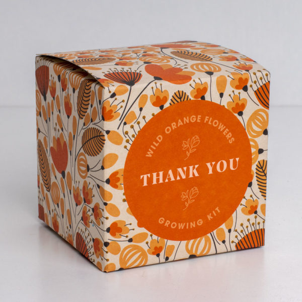 Say it with Flowers Growing Kit - Thank You | Resetea