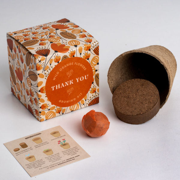 Say it with Flowers Growing Kit - Thank You | Resetea