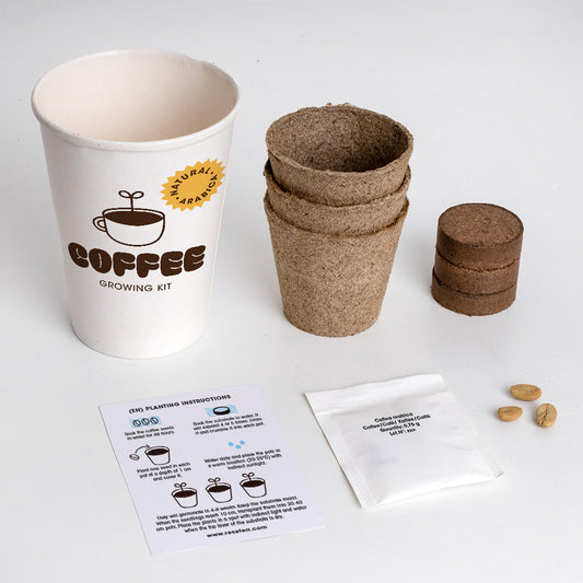 Coffee growing kit  | Resetea
