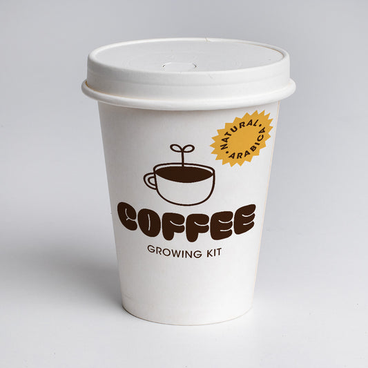 Coffee growing kit  | Resetea