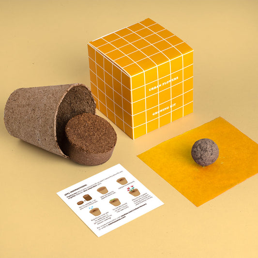 Urban Flowers – Yellow - Growing kit | Resetea