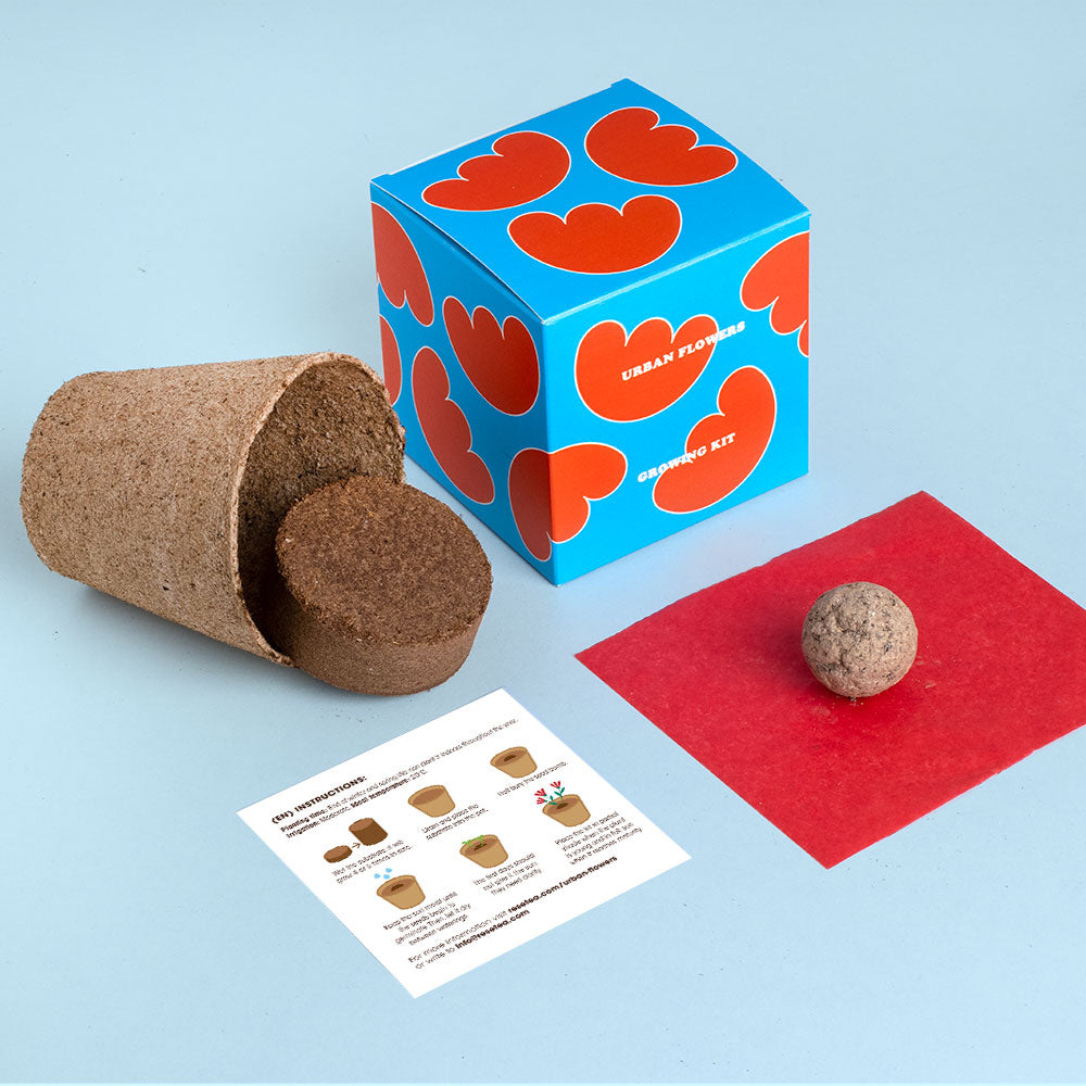 Urban Flowers – Red - Growing kit | Resetea