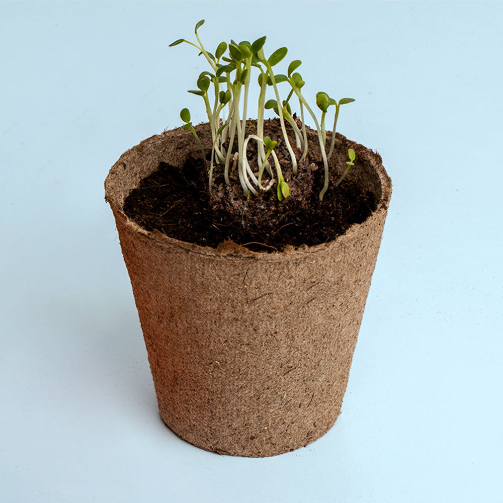 Urban Flowers – Red - Growing kit | Resetea
