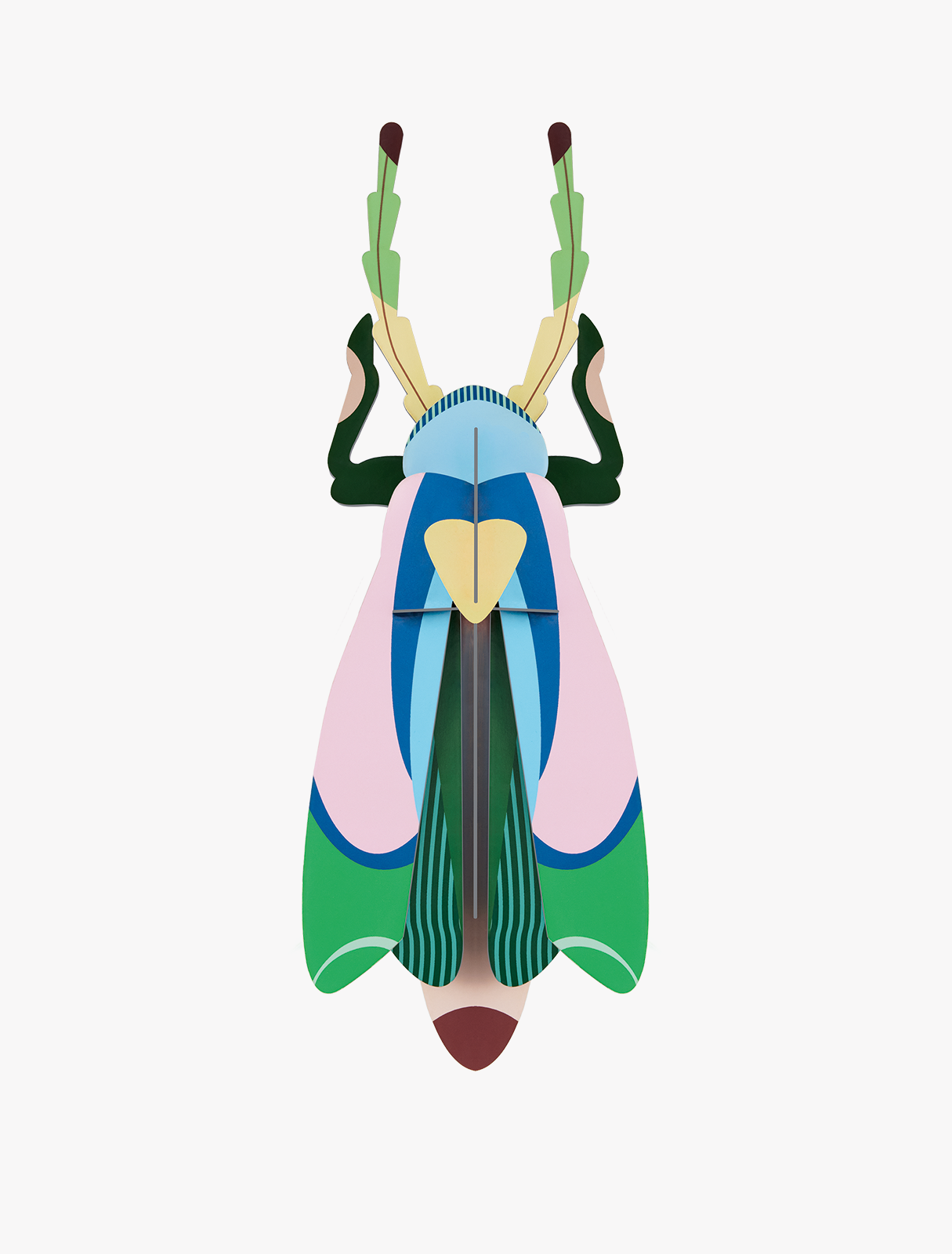 Sakura Beetle - muurdecoratie | Studio Roof - de inKijk
