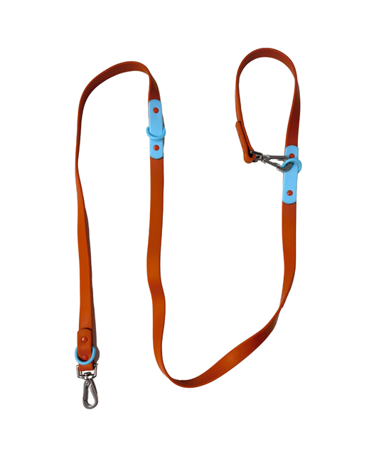 The Fritz Leash - Choco Blue | Approved by Fritz
