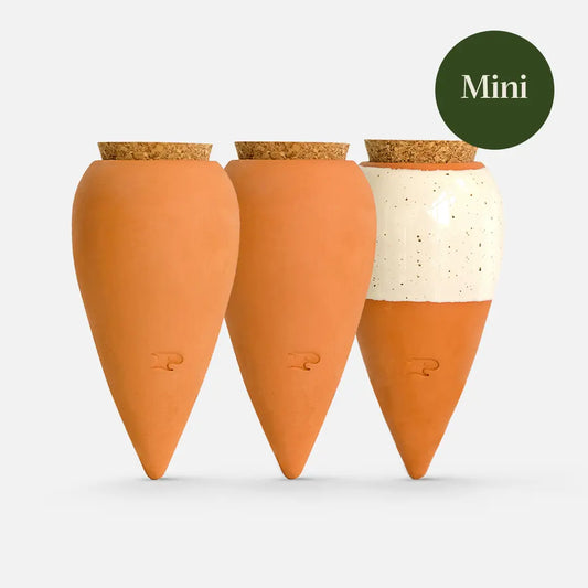Trio mini Olla - Les Iconiques | Pepin.