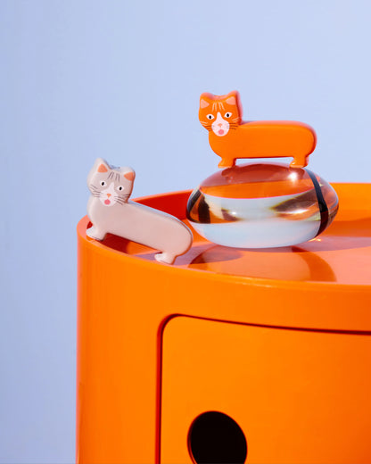 Salt & Pepper Cats | Fluid market