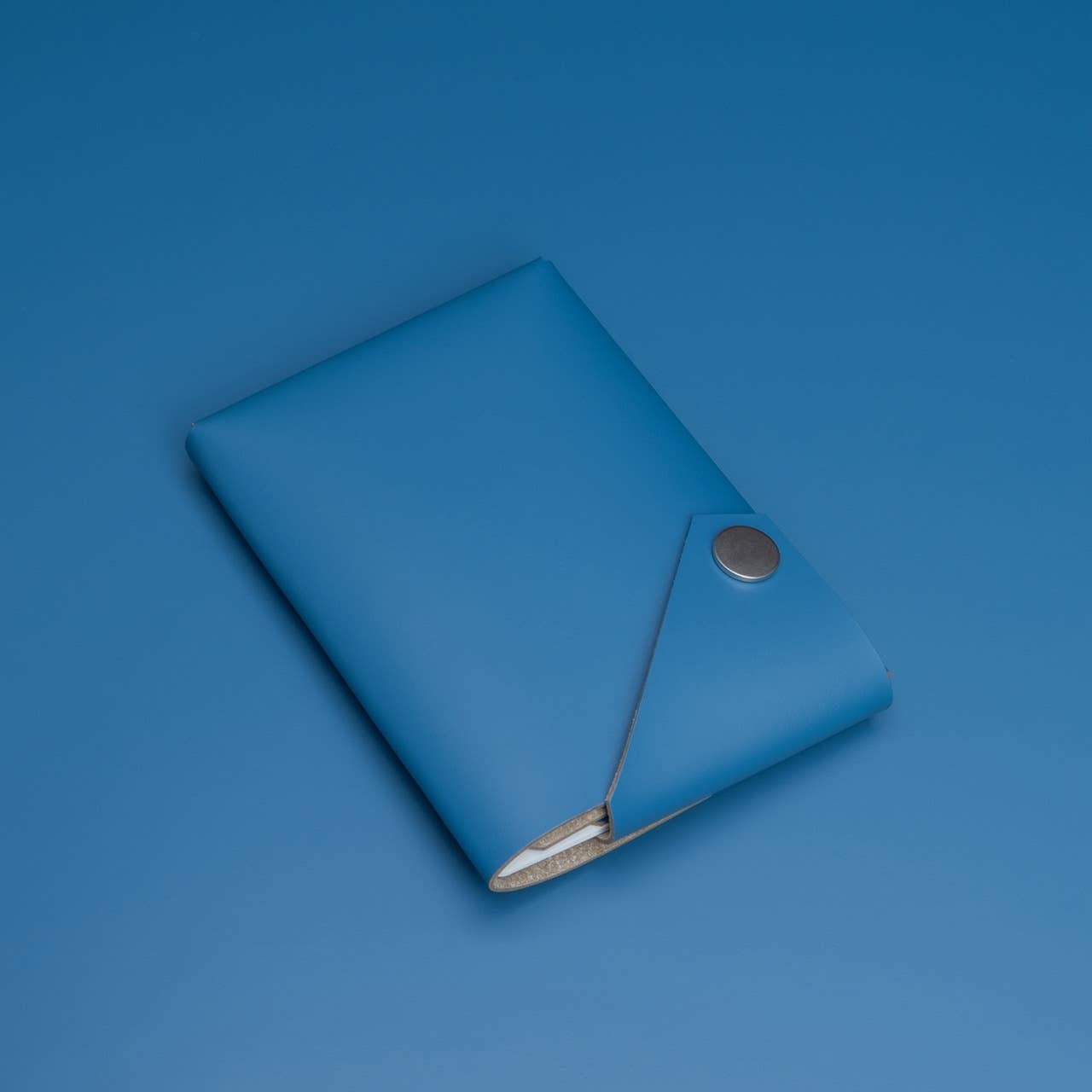 Travel Wallet - Blue - Recyled Leather | LEMUR