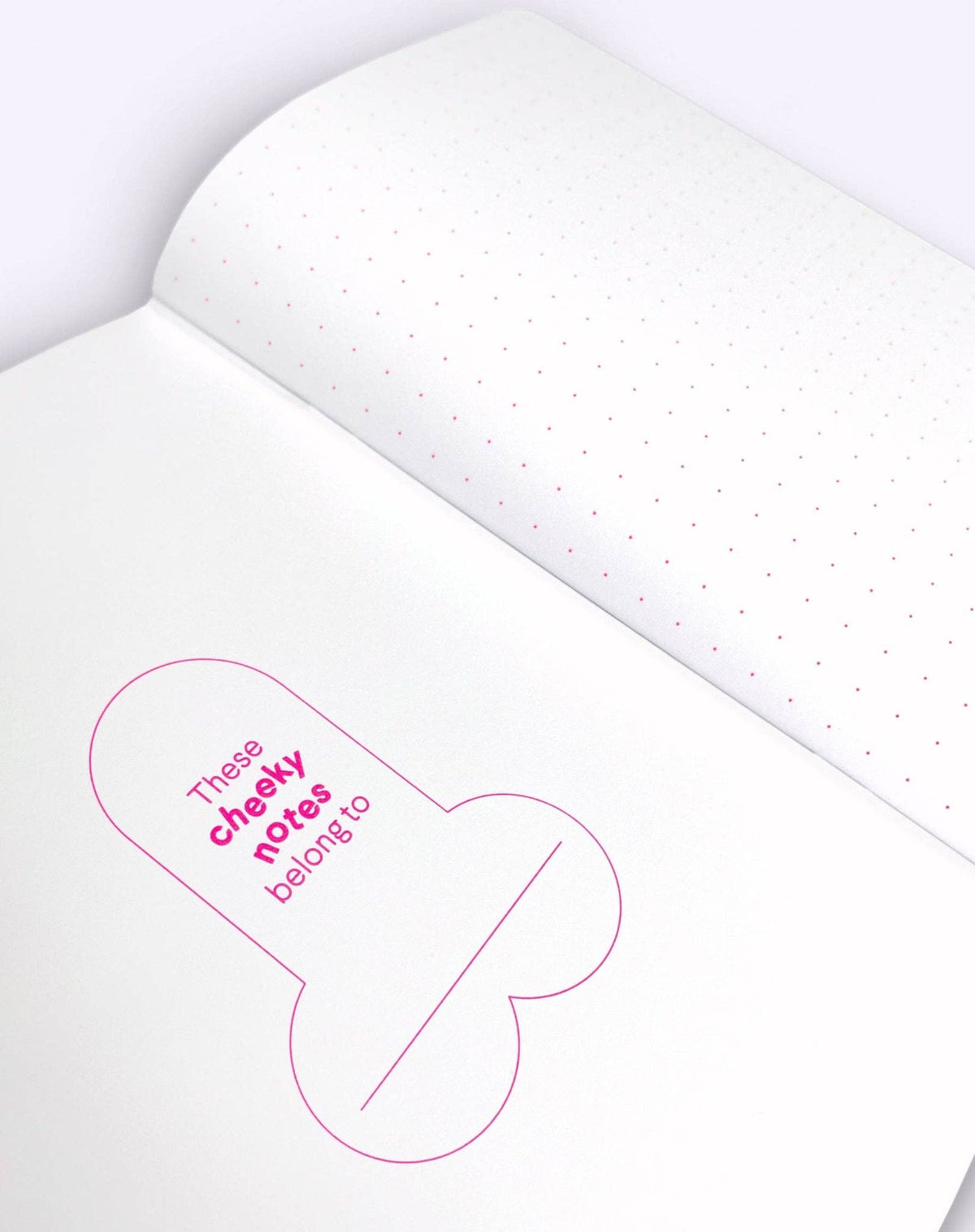Cheeky Notes A5 – Roger | Dicks Don't Lie