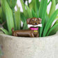 Adorable dogs voor plantenpot - set v. 4 | Gift Republic