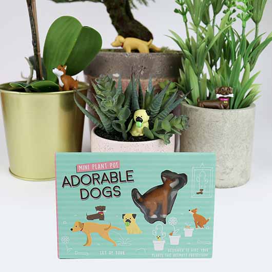 Adorable dogs voor plantenpot - set v. 4 | Gift Republic