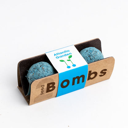 Biodiversity Bombs | Resetea