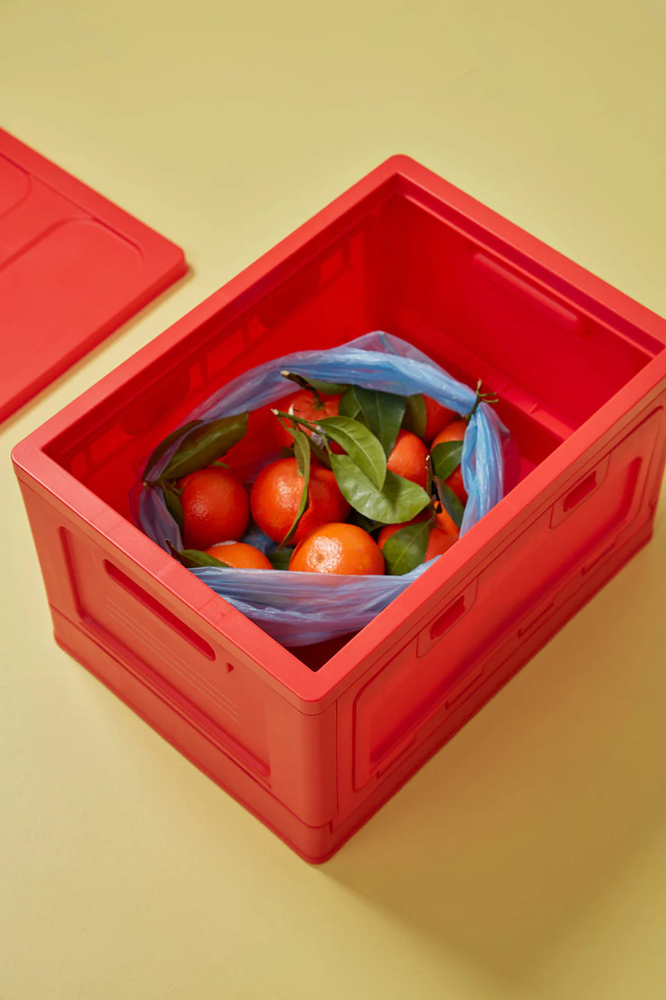 Box - Large - Red | Studio About