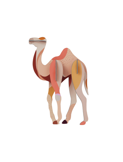 Camel - wall art | Studio Roof