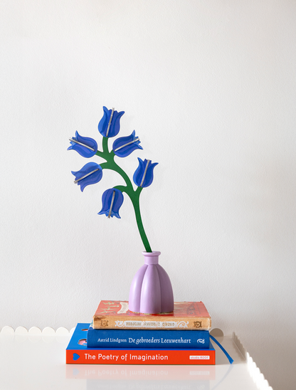 Campanula - everlasting flower | Studio Roof