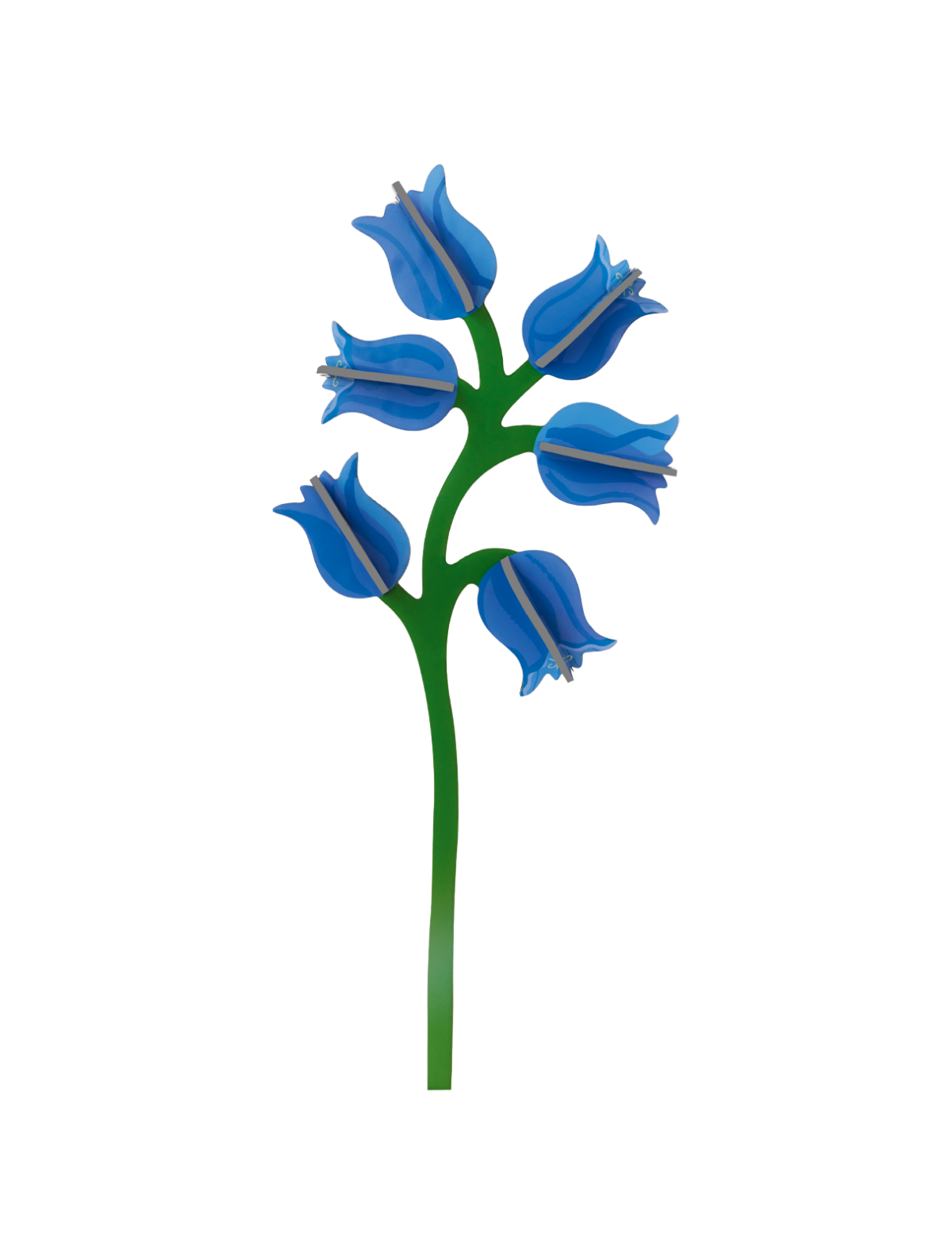 Campanula - everlasting flower | Studio Roof