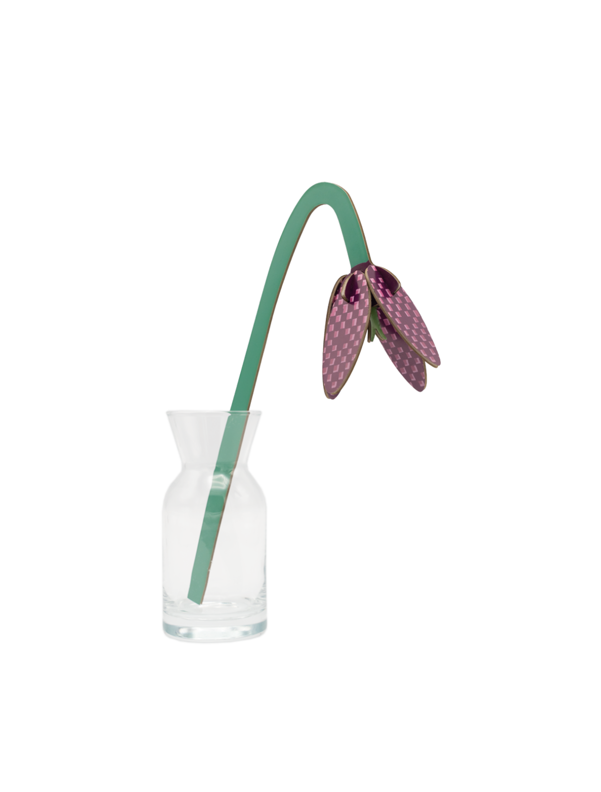 Checkered Lily - small everlasting flower | Studio Roof