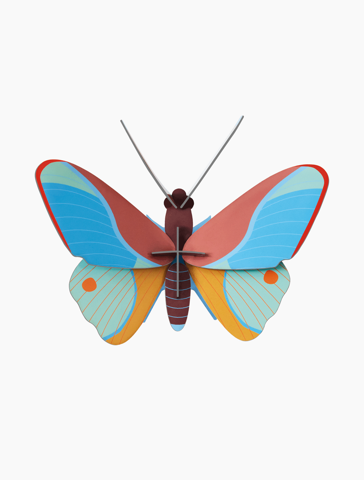 Claudina Butterfly - muurdecoratie | Studio Roof