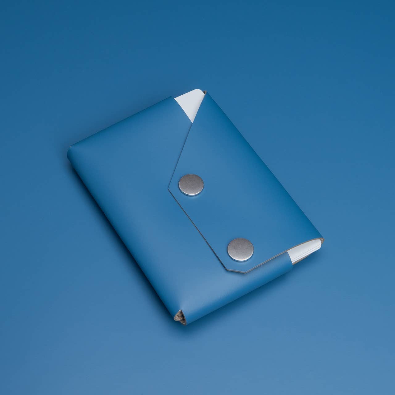 Travel Wallet - Blue - Recyled Leather | LEMUR