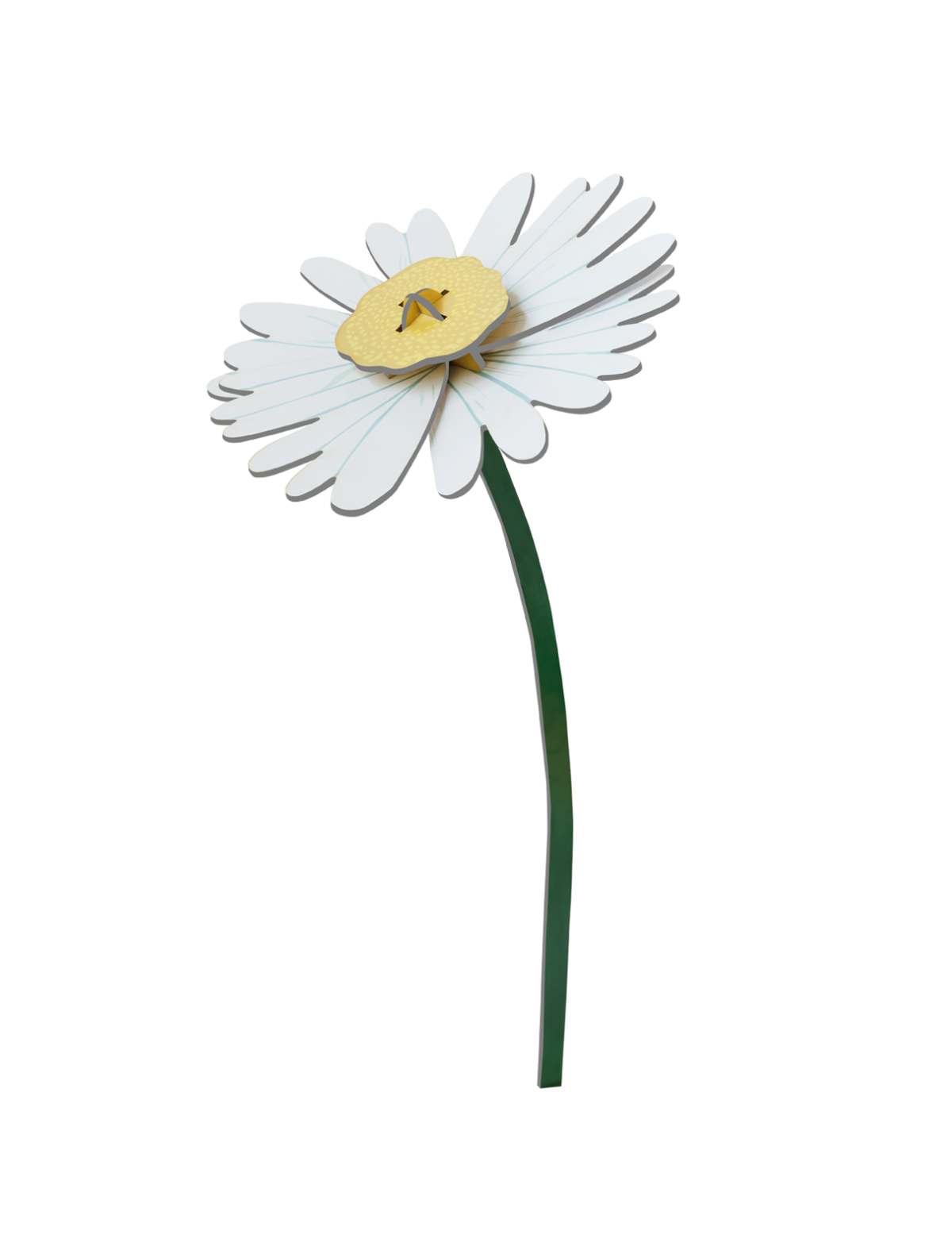 Daisy - everlasting flower | Studio Roof