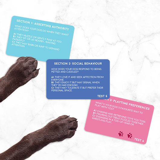 Dog Personality Test | Gift Republic